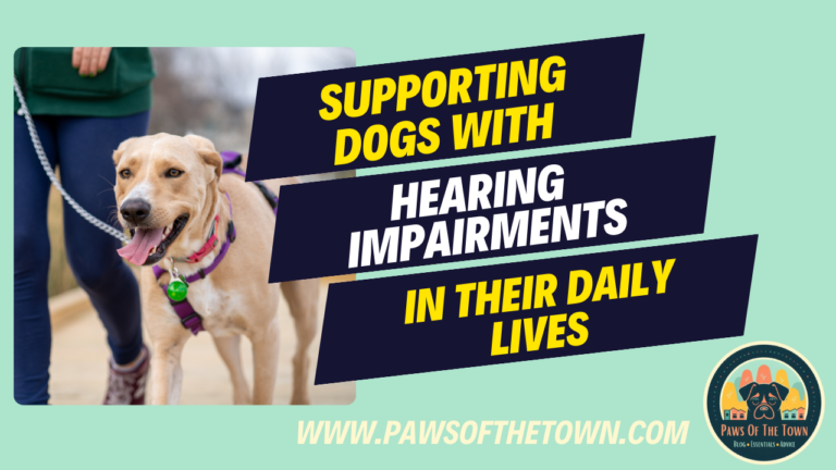 Supporting Dogs with Hearing Impairments in Their Daily Lives